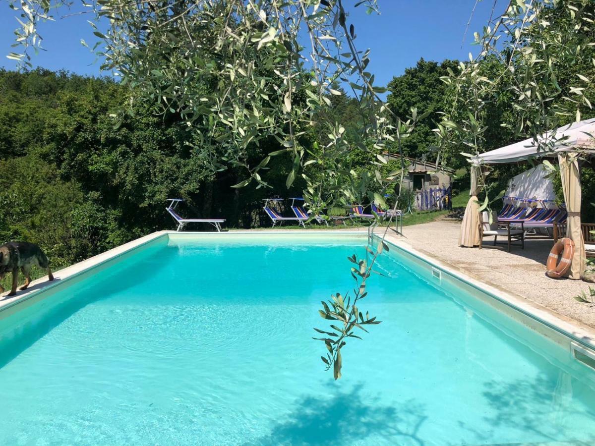 Ala Di Maniero In Agriturismo Valdrago In Toscana, Nel Verde Mugello Sulle Colline Di Firenze Borgo San Lorenzo Luaran gambar